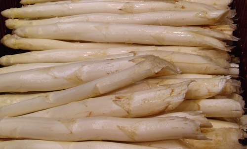 Spargel weiß